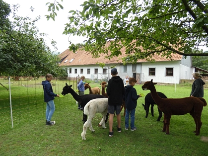 Alpaka-Picknick 1 © Stadt Seelze