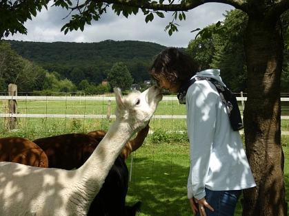 Alpaka-Picknick 2 © Stadt Seelze