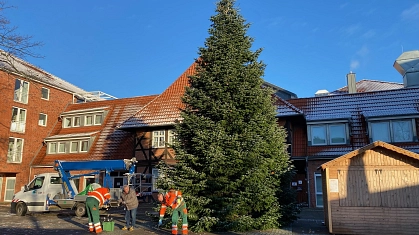 Weihnachtsbaum © Stadt Seelze